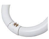 GE 33890 Light Bulb, 32 W, T9 Circline Lamp, G10q 4-Pin Lamp Base, 1950 Lumens, 4100 K Color Temp